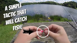 HOW TO rig minnows on the bottom for Walleye, Saugeye and Perch (simple technique)