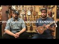 UKULELES - Frequently Asked Questions - Part One (Best Pickup? Best Size? Set-up etc)