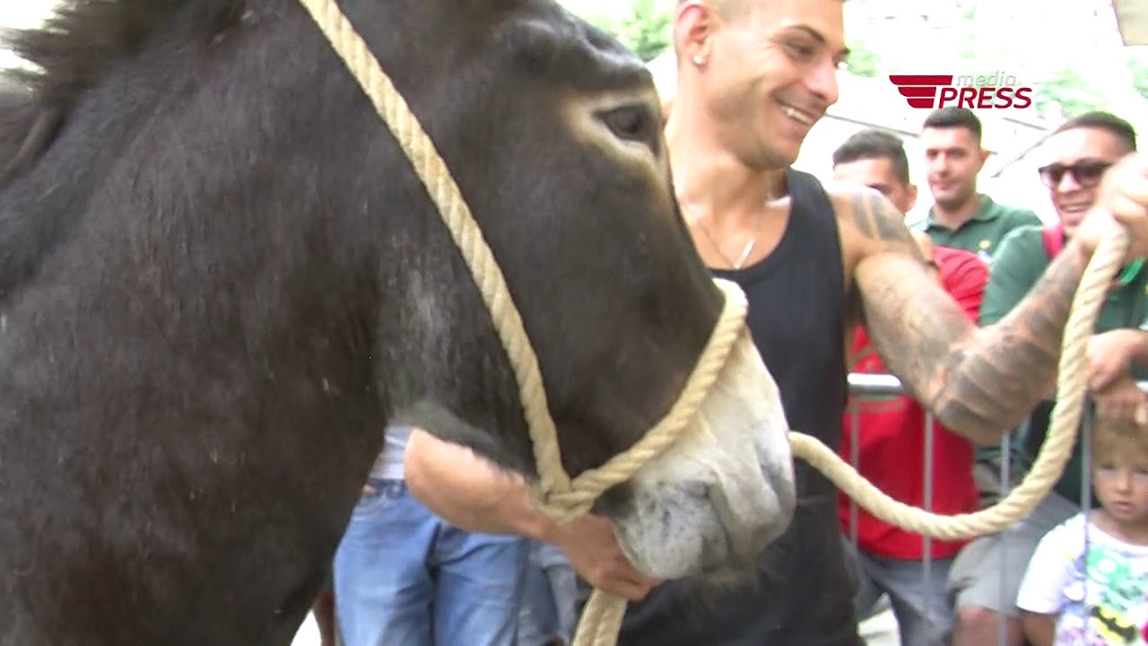 Il Palio delle Contrade di Allumiere 2019