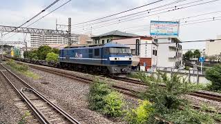 【フレームライナー】JR貨物EF210形100番台131号機+コキ20両が戸塚駅を通過するシーン (1066レ) 2025.10.14