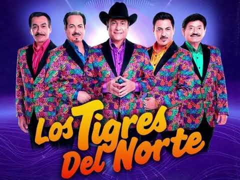 Los Tigres Del