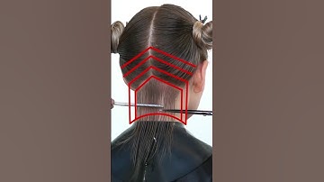 Complete Hairdresser