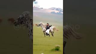 Horseshoeing Painful or Not? 😱 Truth Revealed! #horse #horseshoeing #facts#ytshorts