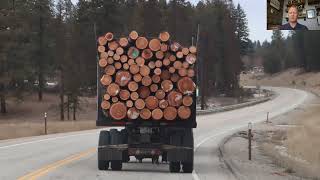 Mass Timber in K-12 Schools