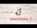 子丑ちゃん産まれたよのご紹介動画です♪