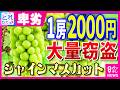 消えた「1房2000円」のシャインマスカット　防カメ避けて犯行か　警察と農家がパトロール強化　メルカリは注意呼びかけ｜旬感LIVE とれたてっ!〈カンテレNEWS〉