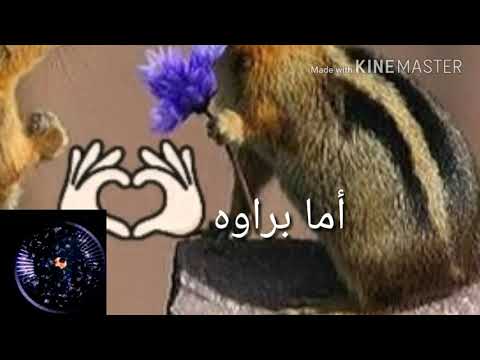 أغنية أما براوه أشرقت أحمد    سناجب نجاة الصغيره