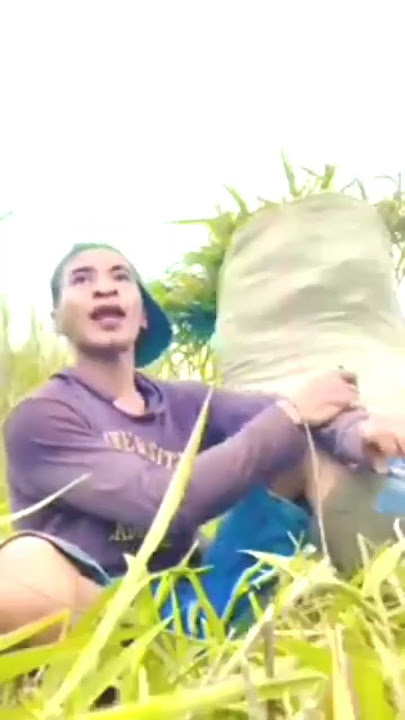LUCU ROTO ROTO SING MUMET WONG LANANG #meme #video #comedy #funny