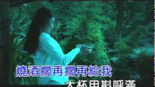 Video thumbnail of "(MV)陳雷 - 放呼醉.mpg"