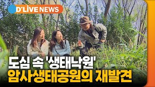암사생태공원 영상