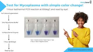 MycoGenie Mycoplasma Detection Kit - Assay Genie