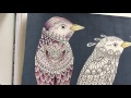 Beginning of video