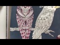 End of video