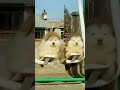 كنكه بن تفوقنى