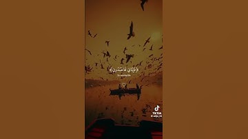 القرآن الكريم سورة العنكبوت من الآيه (55) الى (63) بصوت عبدالرحمن مسعد