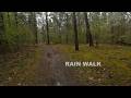 10 minutes walking through spring rain | forest walk