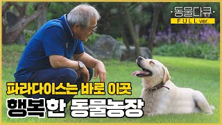 [풀버전] 가정집에 60여 마리의 동물이 산다!? 치열한 도시의 삶을 내려놓고 시골 마을로 온 노부부 | 동물극장 단짝 EP31 | KBS 220917 방송