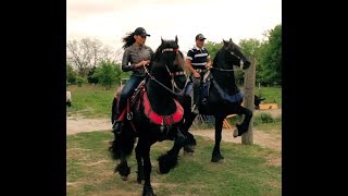 Alejandra Rojas "Rancho El Capricho" Austin Texas 2019