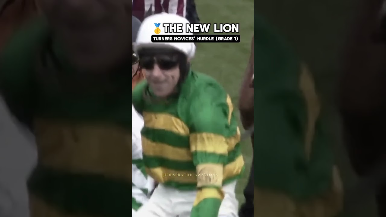 🔰Another Cheltenham Festival to remember for JP McManus although a sad ending with Corbetts Cross