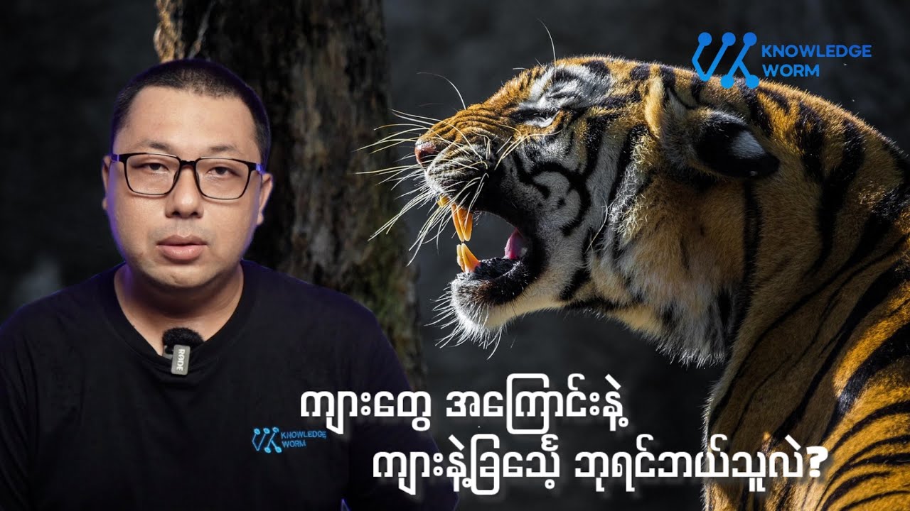 ကျားဆိုတာ တောဘုရင်လား နဲ့ ဆက်စပ်ဗဟုသုတများ