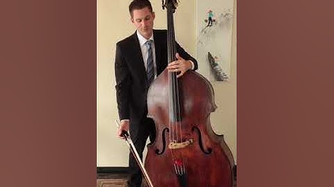Bow Speed, Weight and Placement on the double bass (upright bass)
