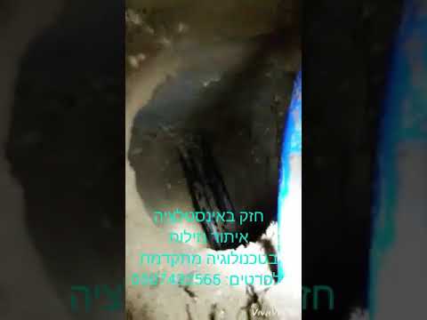 וִידֵאוֹ: קציר מטאטאים לאמבטיה: מה הם המטאטאים לאמבטיה ומתי לקצור? איך לסרוג נכון? מתי נקצרים מטאטאים?