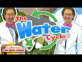 The Journey of Water Through Its Cycle