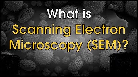 Scanning Electron Microscopy (SEM)