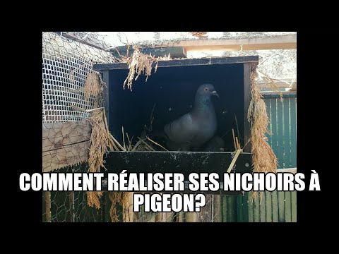 Comment réaliser ses nichoirs à pigeon?