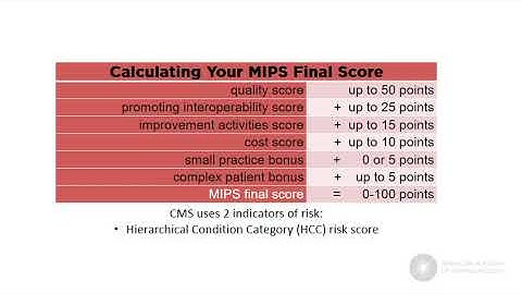 Quick MIPS 2018—Your MIPS Final Score for Performance Year 2018