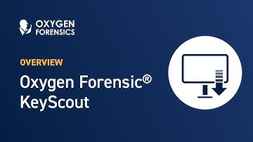 Oxygen Forensics KeyScout: Collect Computer Artifacts from Windows, macOS, and Linux