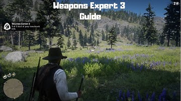 Red Dead Redemption 2 - Weapons Expert 3 Guide