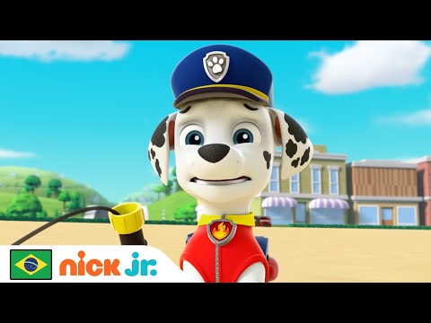 Patrulha Canina | Os filhotes trocam de função! | Nick Jr. em Português