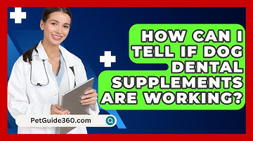 How Can I Tell If Dog Dental Supplements Are Working? - PetGuide360.com