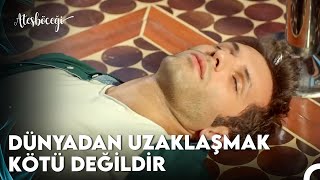 Teonun Güzellik Baygınlığı Keyifli - Ateşböceği 6. Bölüm