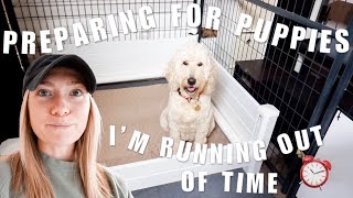 DOG MOM VLOG | Preparing For Goldendoodle Puppies