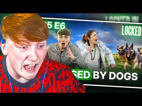 Bitten By ATTACK Dogs! | Locked In #6 Reaction