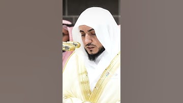 سورة الضحى الشيخ #الوليد_الشمسان #الدوسري #بدر_التركي #الجهني #السديس #