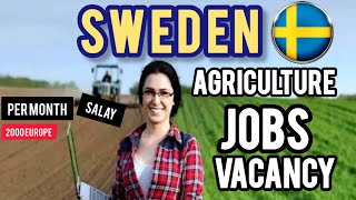 🔗SWEDEN WORK l PERMIT VISA l sweden यूरोपा 2025 ट्रैवल-V8r✈️✈️