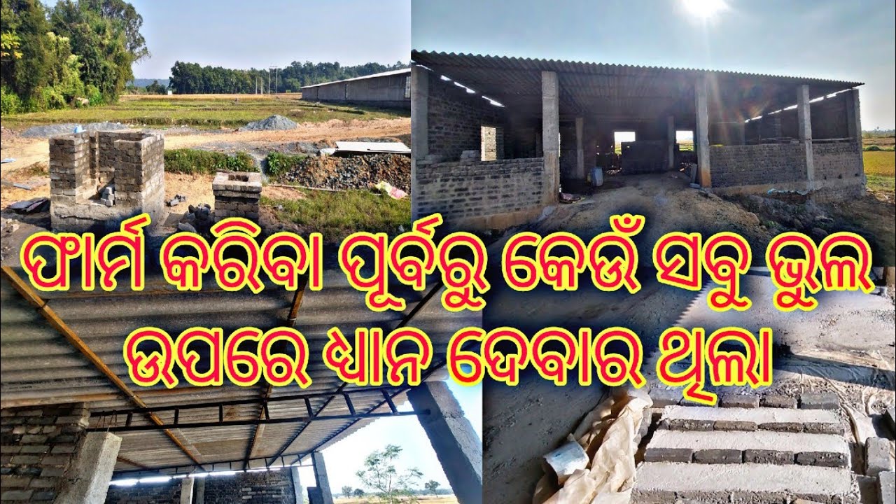 ଫାର୍ମ ରେ କିଛି ଭୁଲ ପାଇଁ ଏବେ ପୁଣି ଫାର୍ମ କାମ ଆରମ୍ଭ ହେବ ।#ec_farm #home #construction #livestockfarm