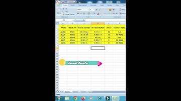 How to Use the Format Painter in Excel