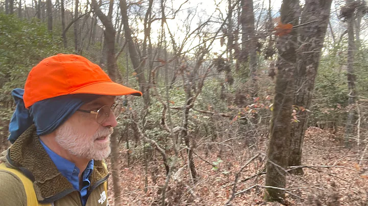 Dicks Creek Gap to Unicoi Gap Slack