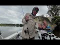 Lure Fishing Australian Bass Hunter NSW