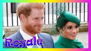 Le Prince Harry Invité À Revenir Pour Noël Avec La Reine Elle Ne Rajeunit Pas