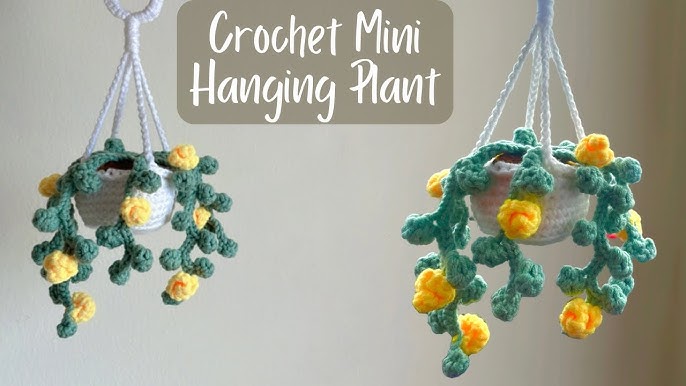 Car Plant, Crochet Hanging Basket, Crochet Potted Car Plant