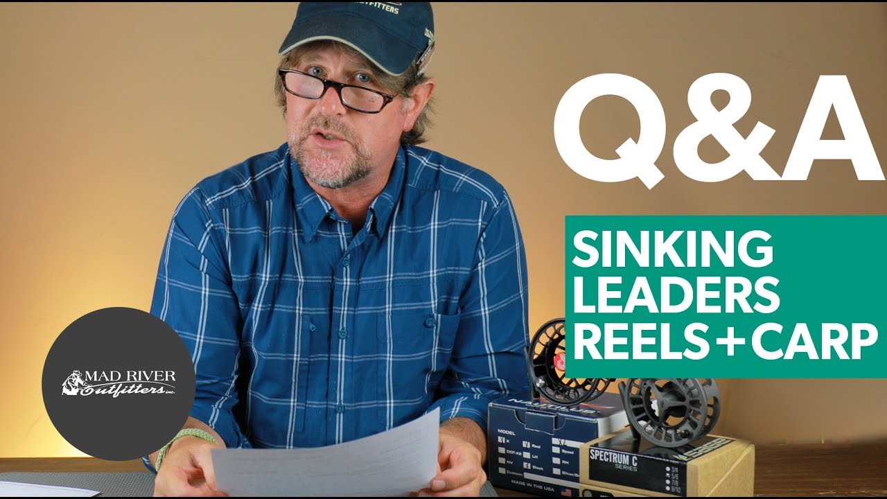 Q&A  #6 - Sinking Leaders, Reels and Carp? 