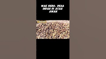 wae rebo, desa indah di atas awan #catatansibotak #waerebo #shorts
