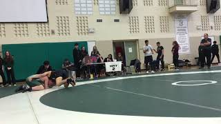 IMG 0498