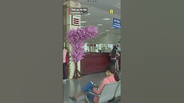 Thu thuế từ thương mại điện tử tăng vọt #shorts