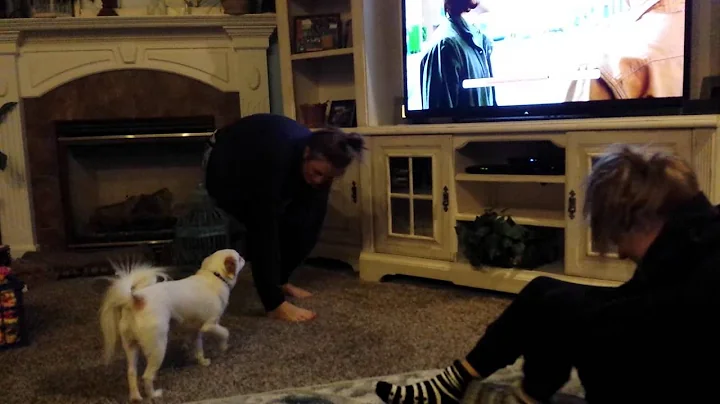 Sweatshirt dancing